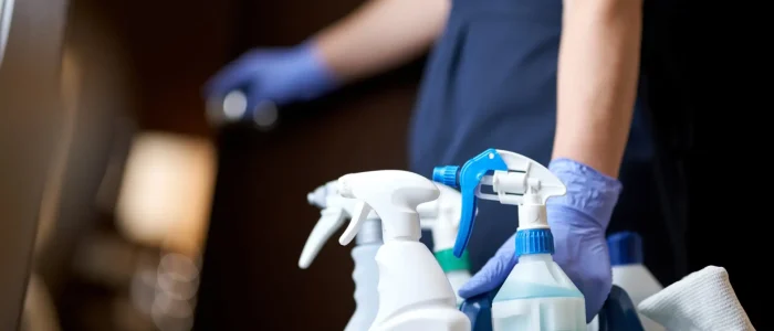 profesyonel-temizlik-hizmetleri